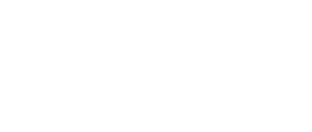 Application Logo